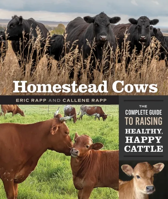 Homestead Cows
