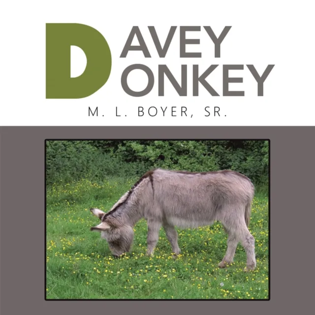 Davey Donkey