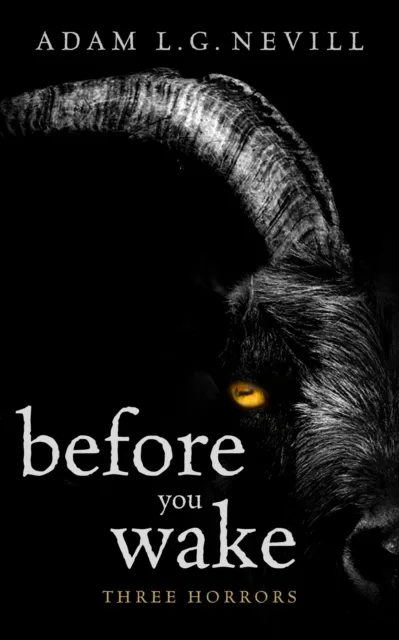 Before You Wake: Three Horrors