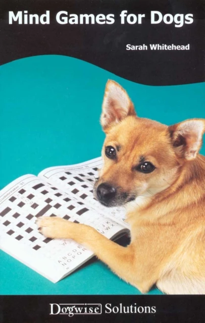MIND GAMES FOR DOGS