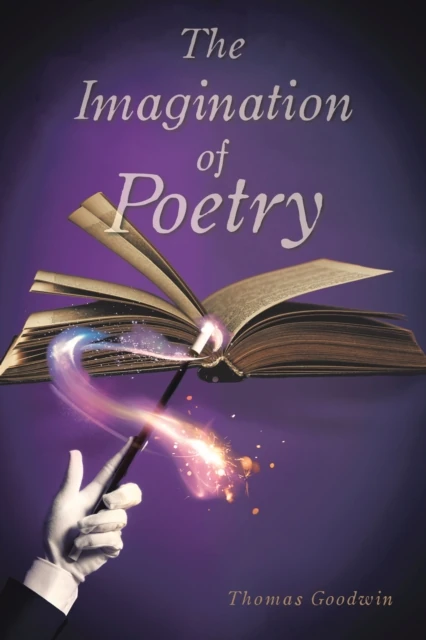 Imagination of Poetry