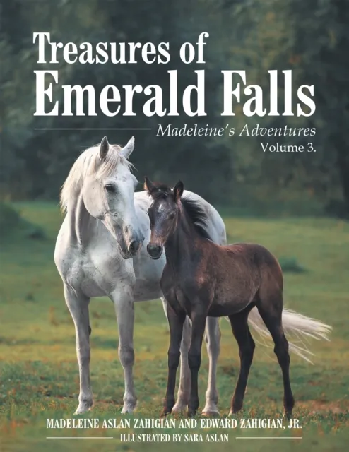 Treasures of Emerald Falls
