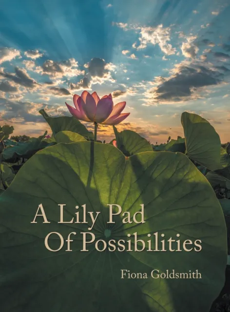 Lily Pad of Possibilities