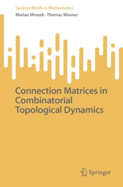 Connection Matrices in Combinatorial Topological Dynamics