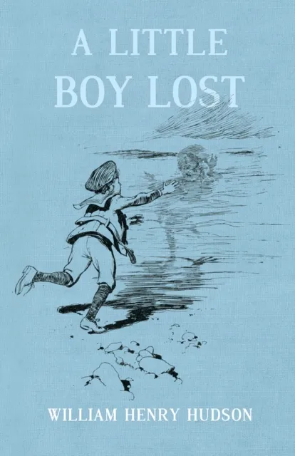 Little Boy Lost
