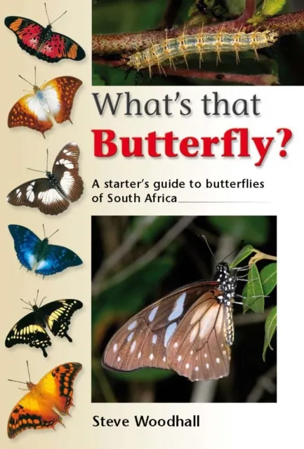 What's that Butterfly?