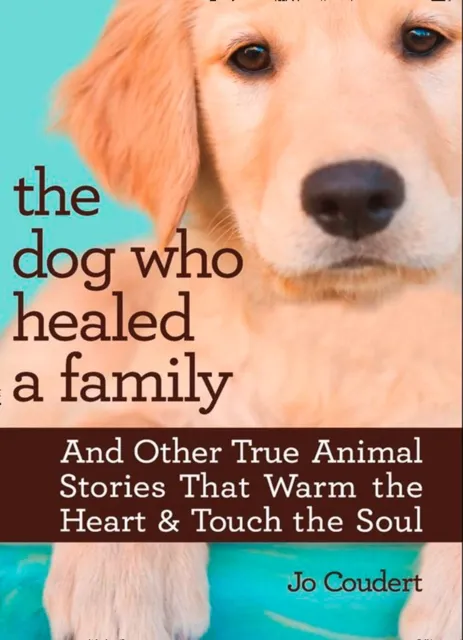 Dog Who Healed A Family