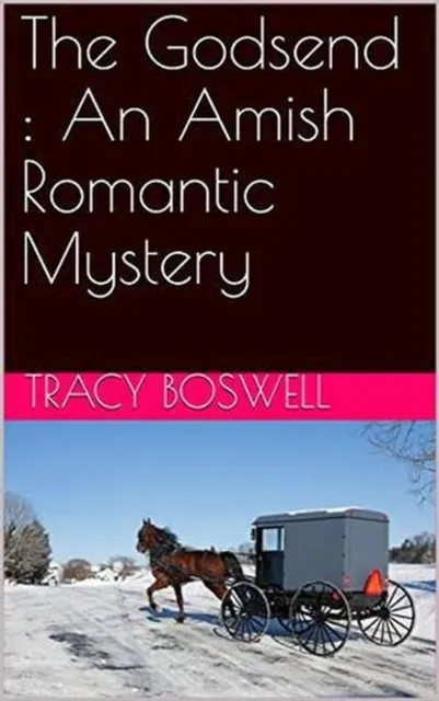 Godsend : An Amish Romantic Mystery