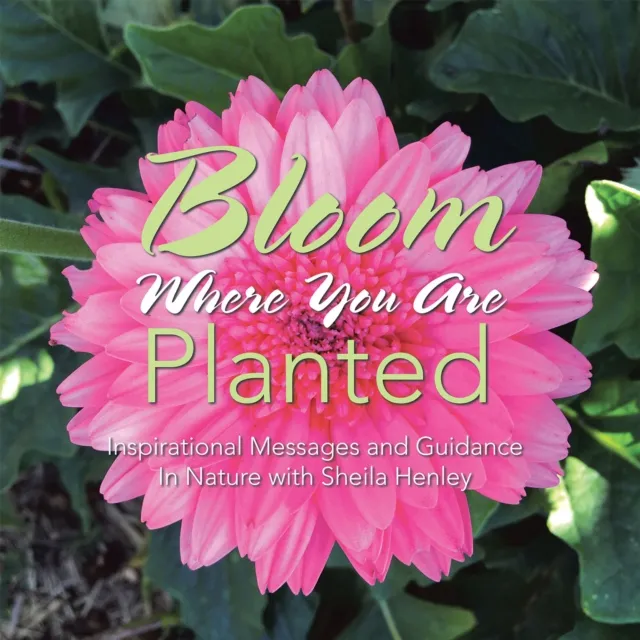 Bloom Where You Are Planted