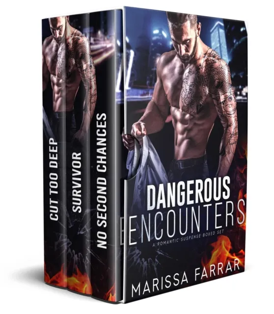 Dangerous Encounters: A Romantic Suspense Boxed Set