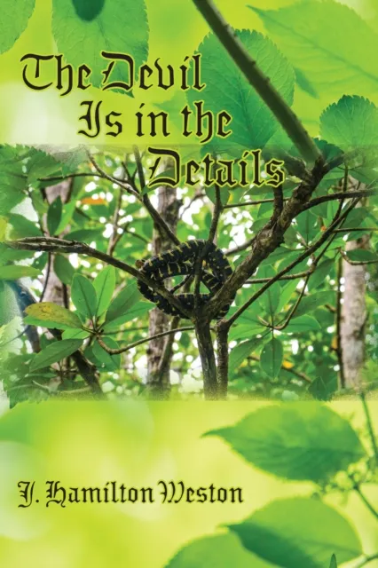 Devil Is in the Details