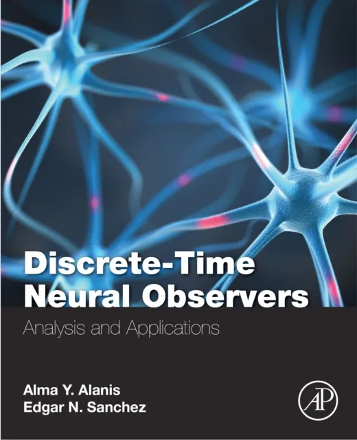 Discrete-Time Neural Observers