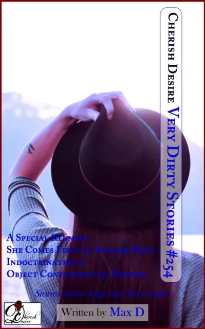 Very Dirty Stories #254