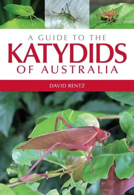 Guide to the Katydids of Australia