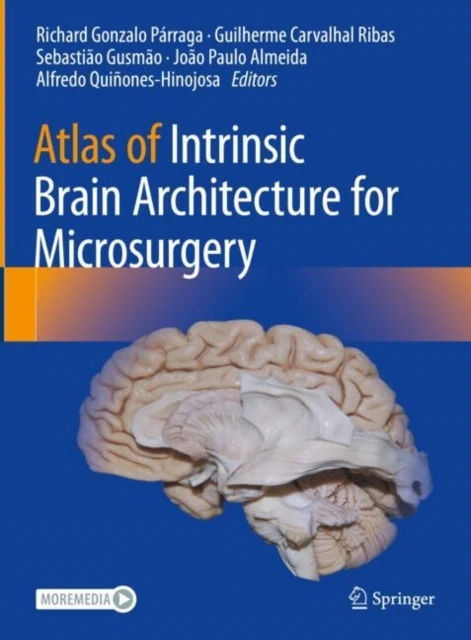 Atlas of Intrinsic Brain Architecture for Microsurgery