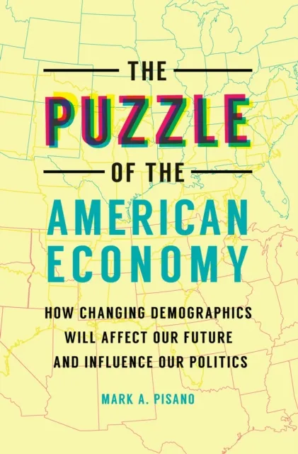 Puzzle of the American Economy