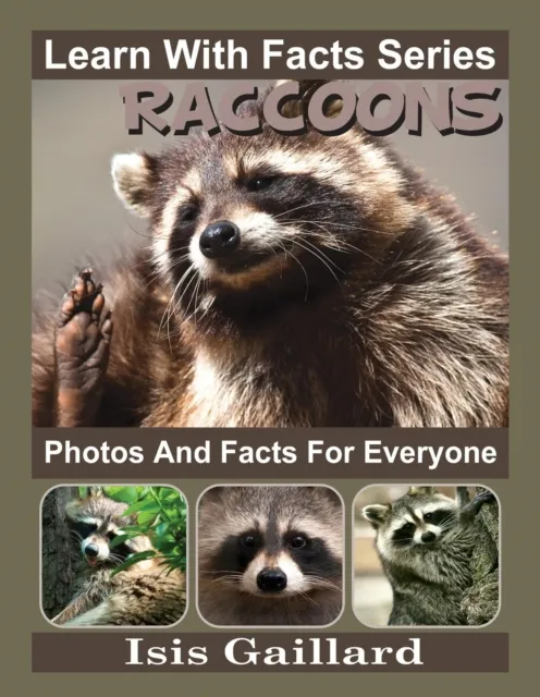 Raccoons Photos and Facts for Everyone