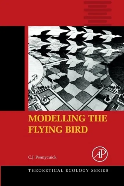 Modelling the Flying Bird