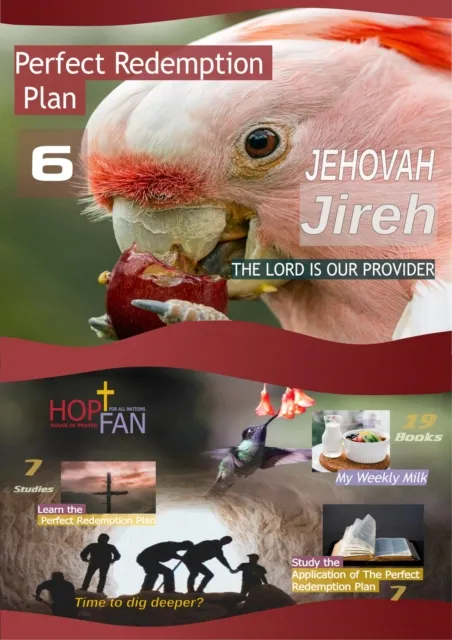 Perfect Redemption Plan 6