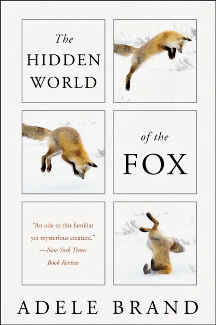 Hidden World of the Fox