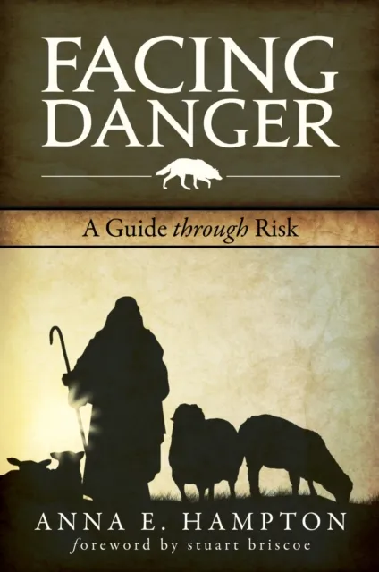 Facing Danger : A Guide Through Risk