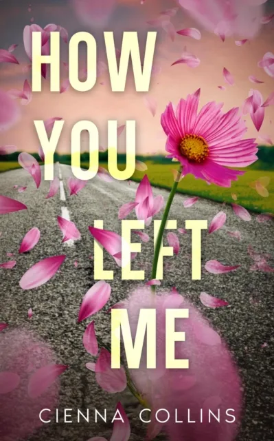 How You Left Me