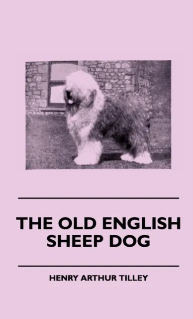 Old English Sheep Dog