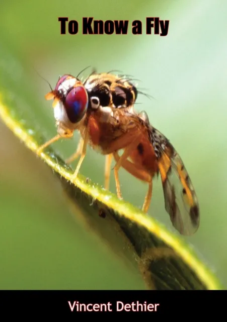 To Know a Fly