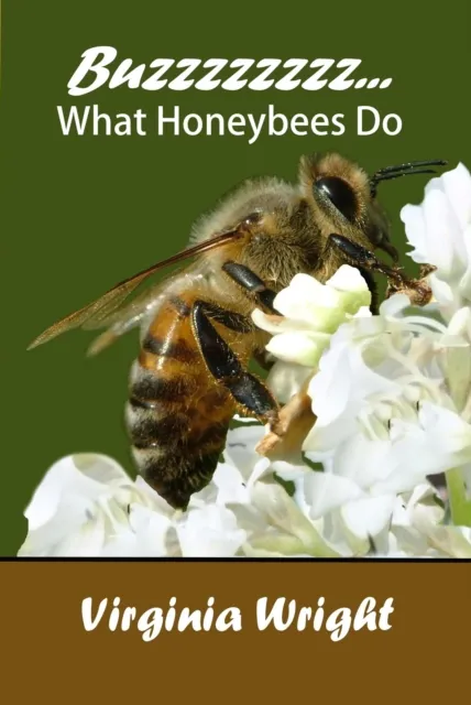 Buzzzzzzzz What Honeybees Do