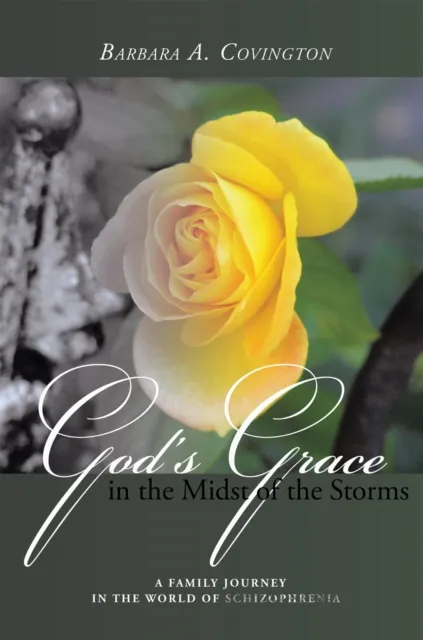 God's Grace in the Midst of the Storms