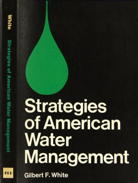 Strategies of American Water Management