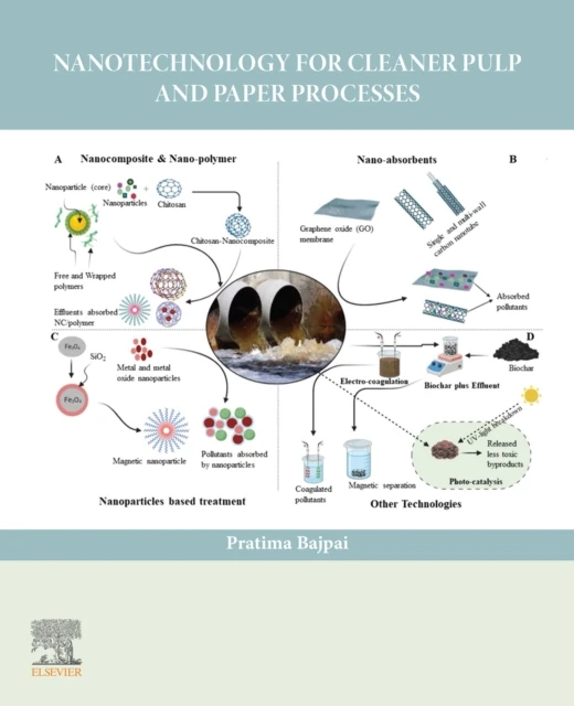 Nanotechnology for Cleaner Pulp and Paper Processes