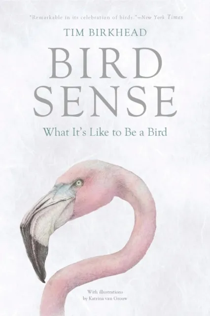 Bird Sense