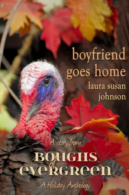 Boyfriend Goes Home