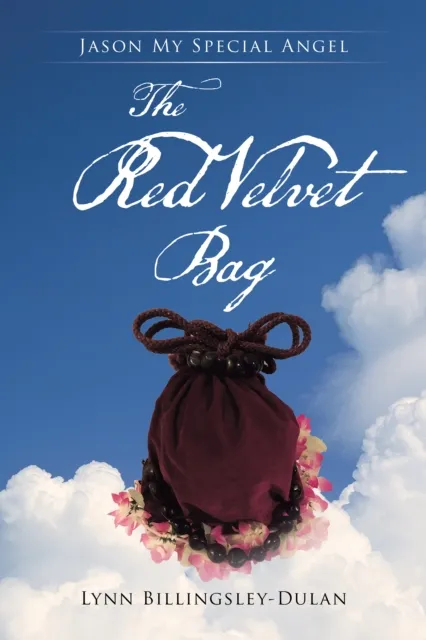 Red Velvet Bag