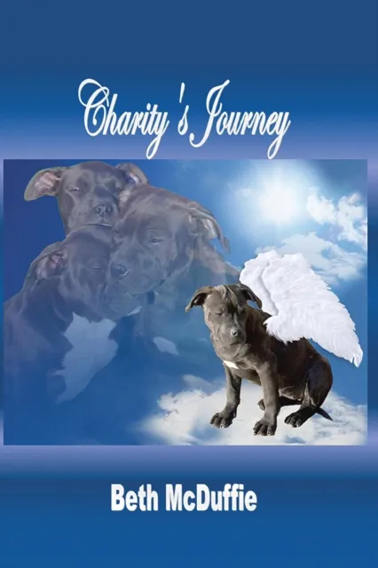 Charity'S Journey