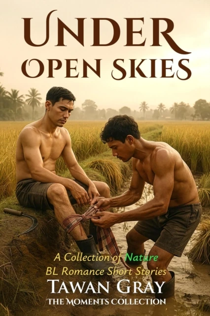 Under Open Skies - A Collection of BL Romance Short Stories