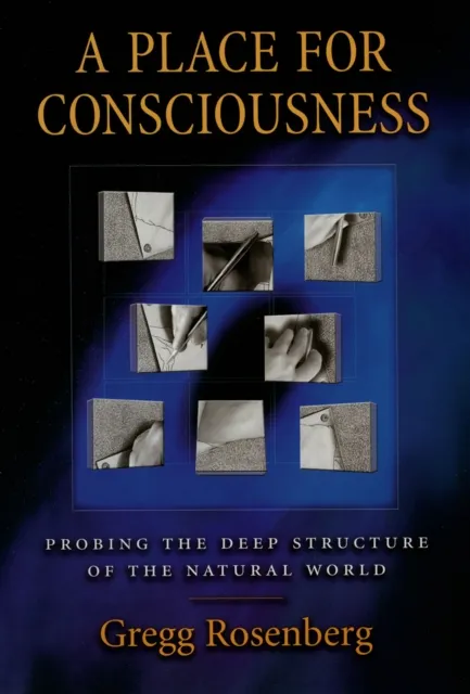 Place for Consciousness