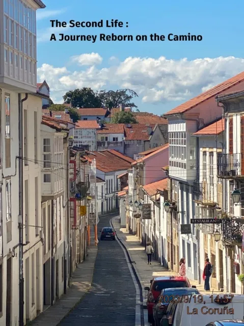 Second Life : A Journey Reborn on the Camino