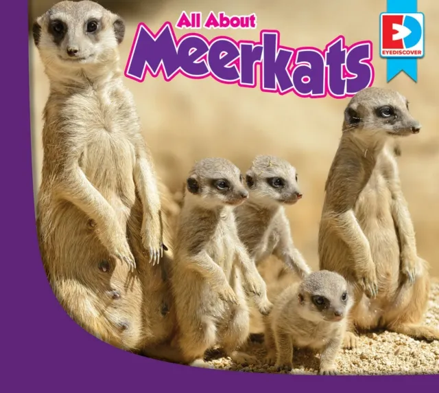 All About Meerkats