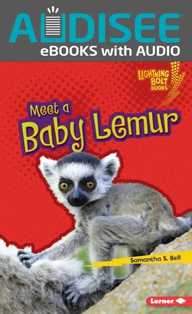 Meet a Baby Lemur