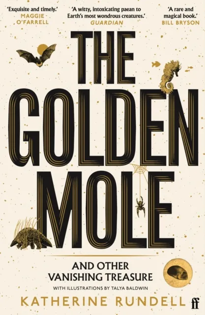 Golden Mole