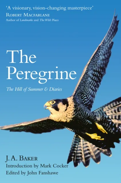 Peregrine