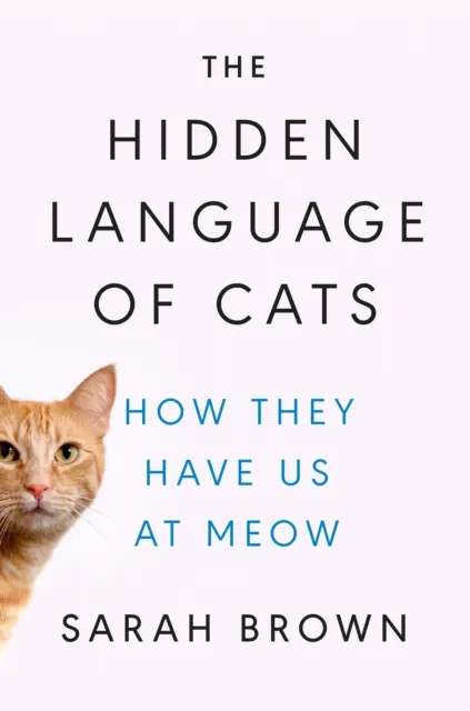 Hidden Language of Cats