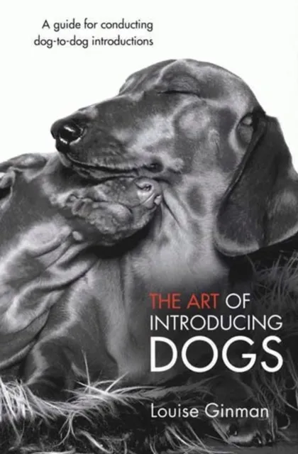 THE ART OF INTRODUCING DOGS