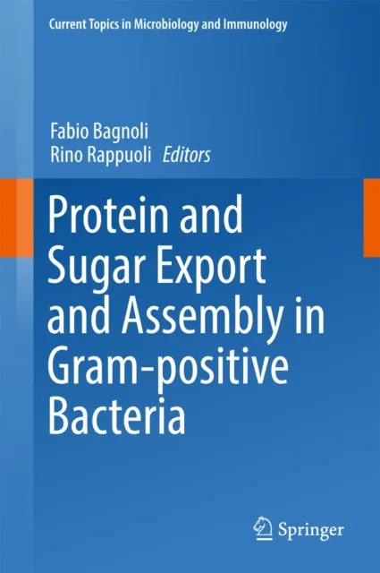 Protein and Sugar Export and Assembly in Gram-positive Bacteria
