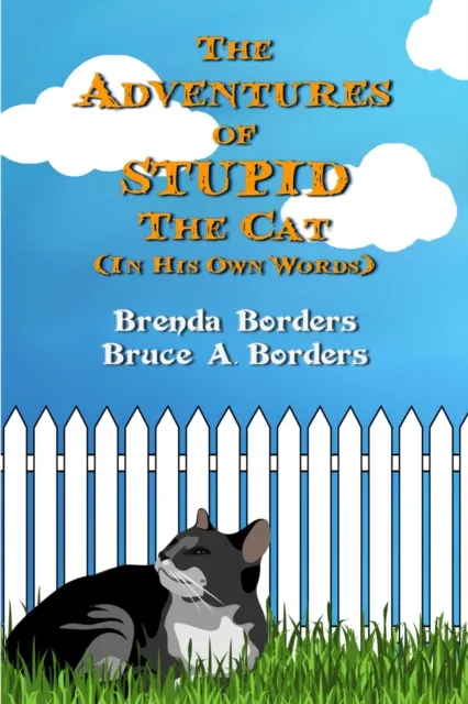 Adventures Of Stupid The Cat