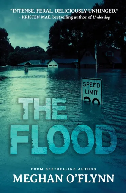 Flood: An Intense Psychological Crime Thriller