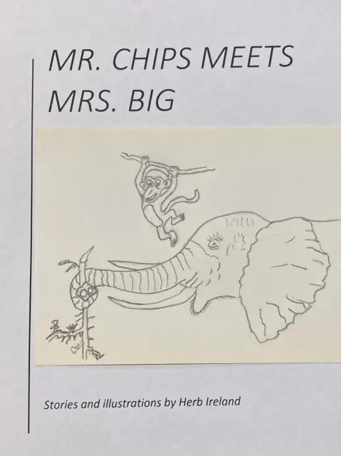 Mr. Chips Meets Mrs. Big