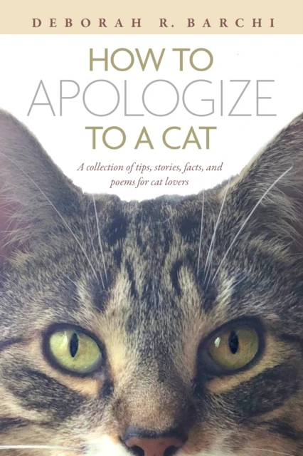 How to Apologize to a Cat